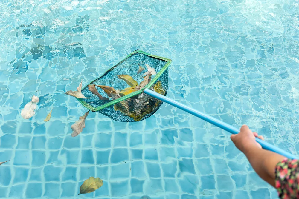 Pool Maintenance in Doonan